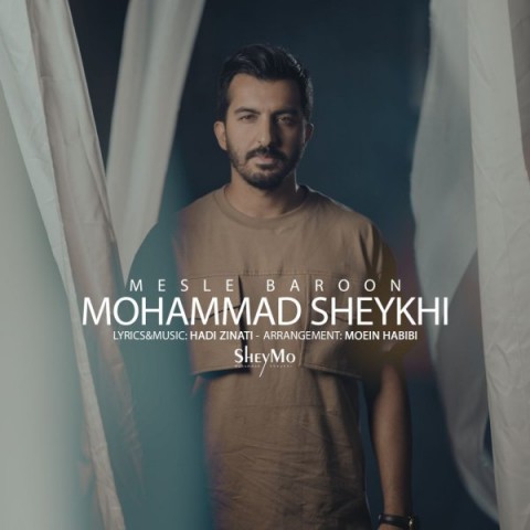 دانلود آهنگ جدید محمد شیخی به نام مثل بارون